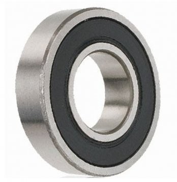 Standard Bearing - 6303-2RS