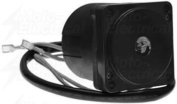 Evinrude / Johnson / OMC / Yamaha Tilt & Trim Motor