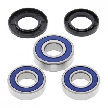 Rear Independent Suspension Kit - Arctic Cat 250 / 300 - Polaris - 570 Touring 2016