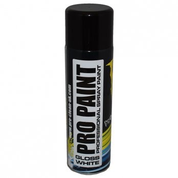 Pro-Clean | Pro Paint | Gloss White | Aerosol | 500 ml