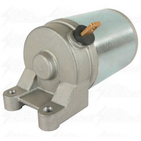 Bombardier ATV Rally Starter Motor