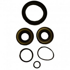 Differential Bearing Seal...
