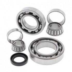 Differential Bearing And...