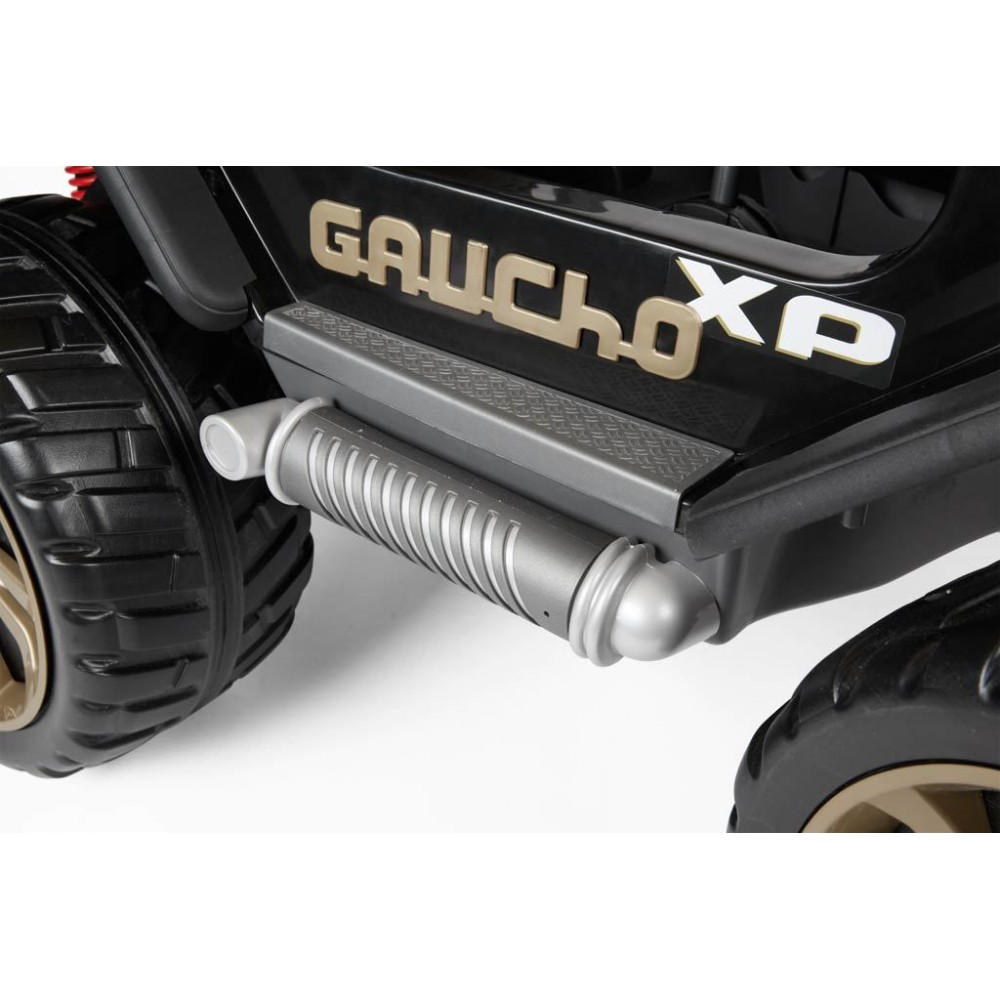 gaucho electric car