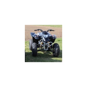 QUADZILLA STINGER 100 BIG FRAME
