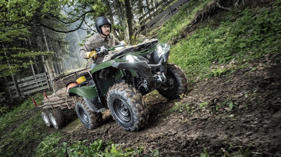 Grizzly 700 EPS / SE - Image 3