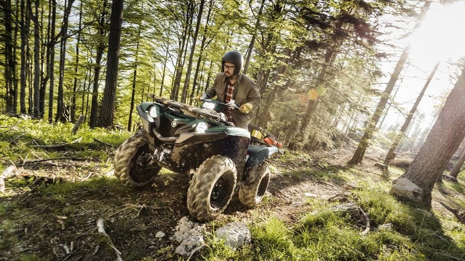 Grizzly 700 EPS / SE - Image 4