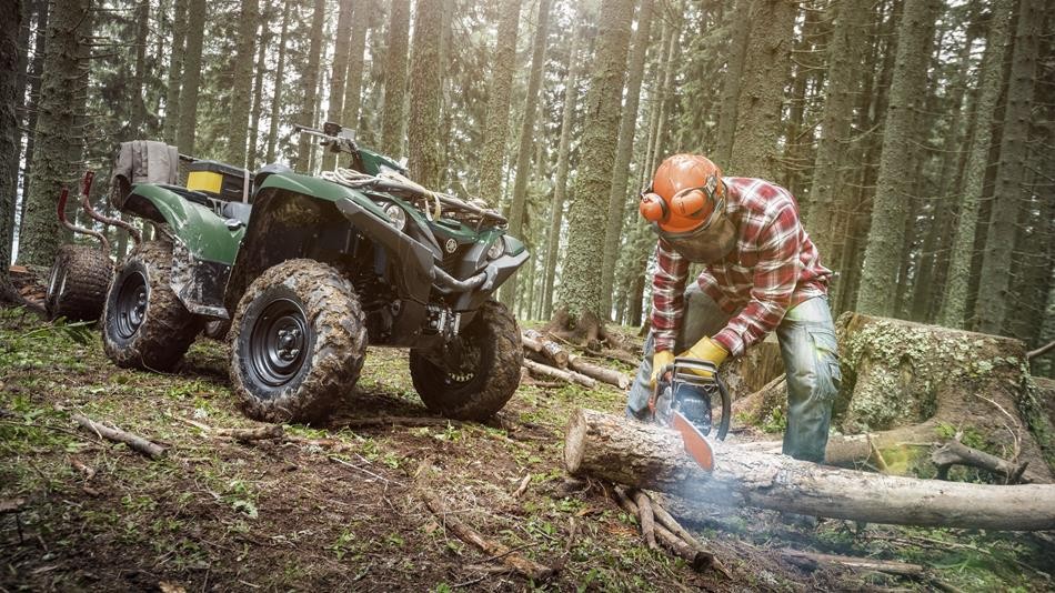 Grizzly 700 EPS / SE - Image 5