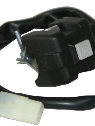 YAMAHA STYLE STARTER SWITCH