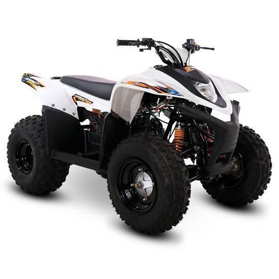 SMC Hornet100 100cc White Kids Quad Bike