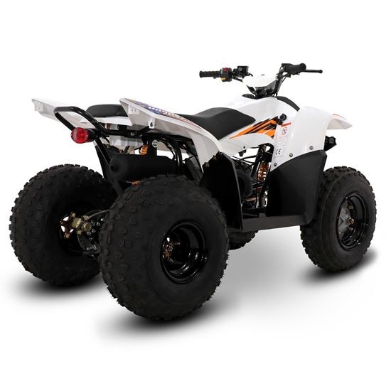 SMC Hornet100 100cc White Kids Quad Bike - Image 4