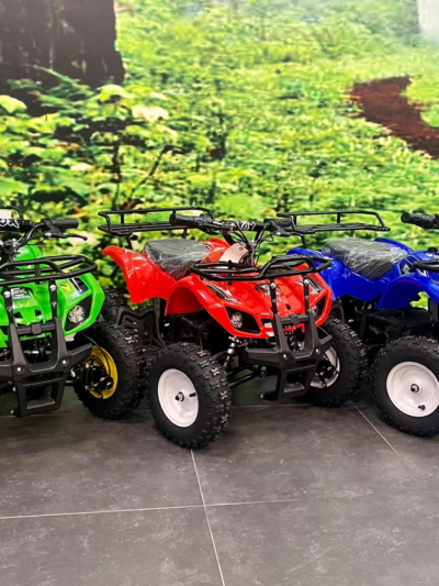Fox Mini Fourtrax 36V 800W