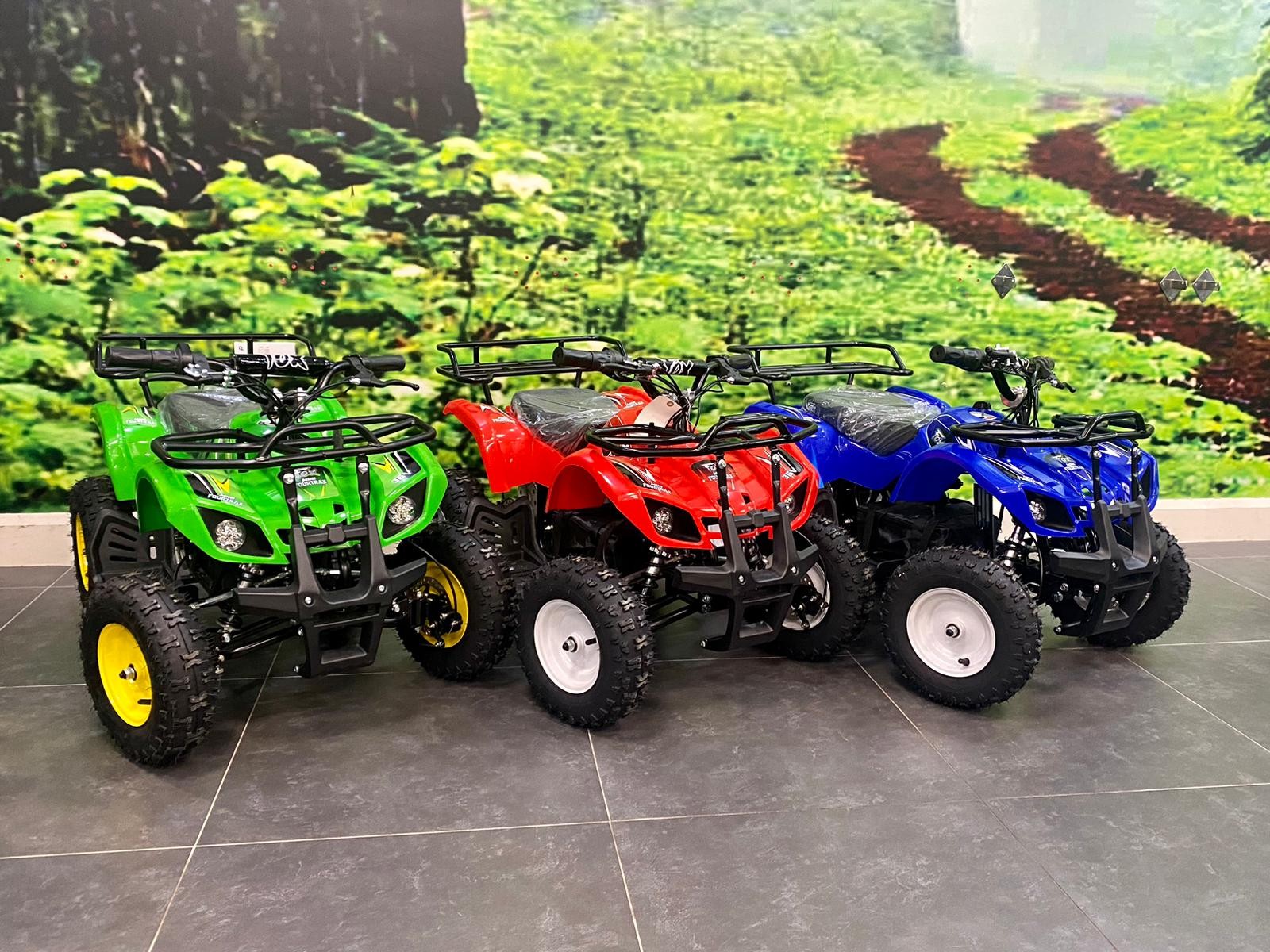 Fox Mini Fourtrax 36V 800W