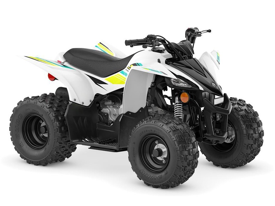 YFZ50 - Image 4